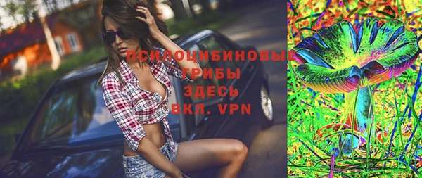 PSILOCYBIN Волоколамск