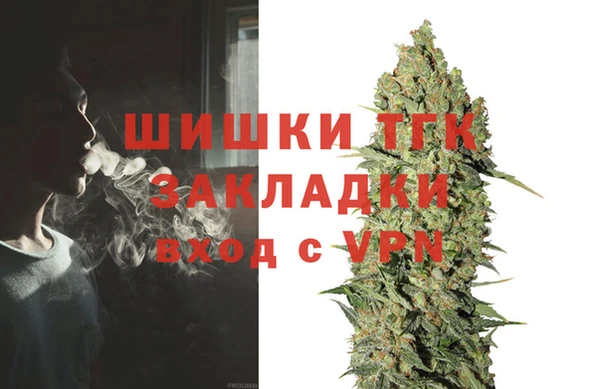 PSILOCYBIN Усинск